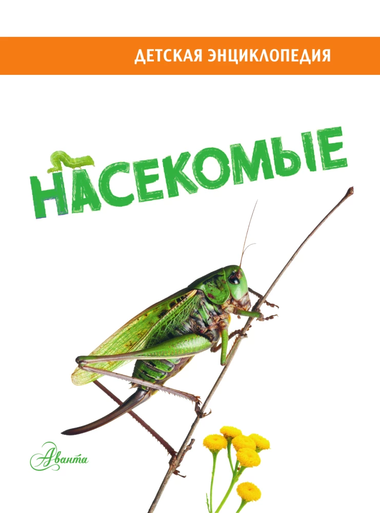 Насекомые