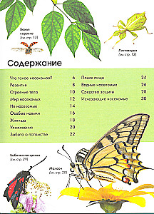Насекомые