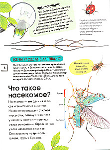Насекомые