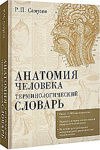 Anatomia człowieka. Słownik terminologiczny