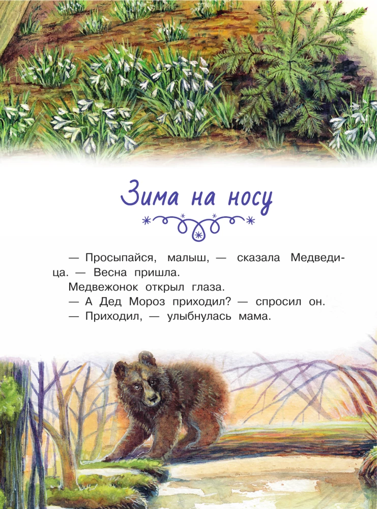 Tales of the Snowy Forest