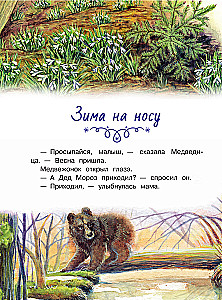 Tales of the Snowy Forest