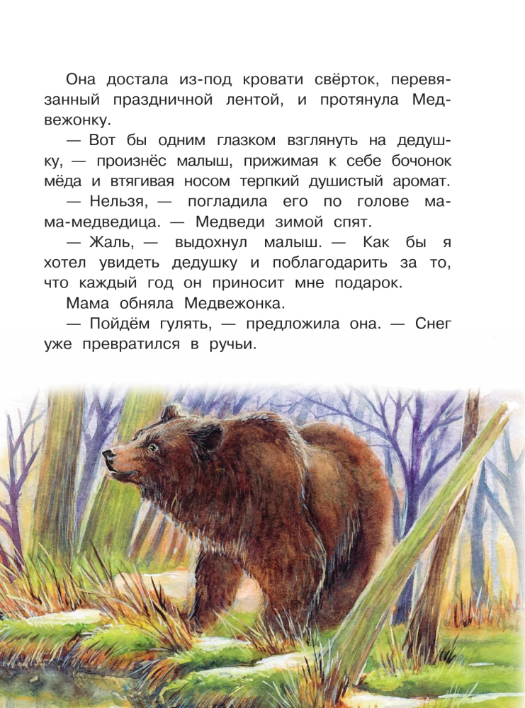 Tales of the Snowy Forest