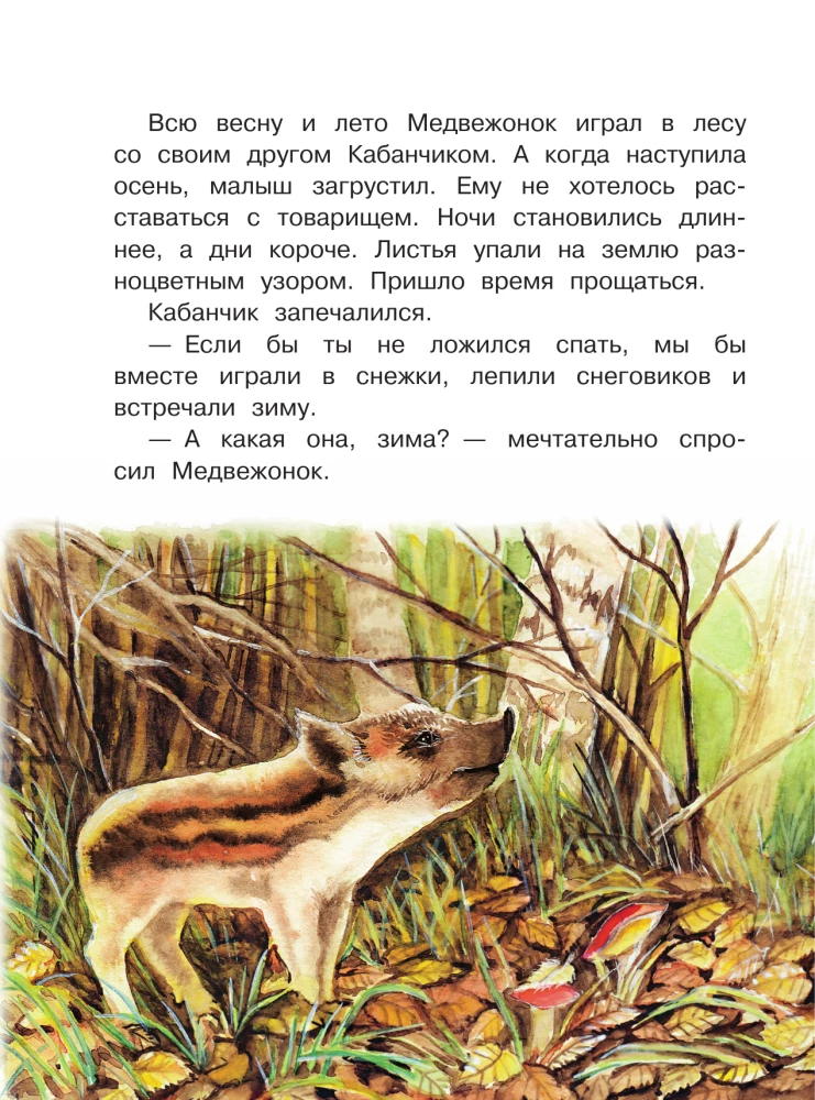 Tales of the Snowy Forest