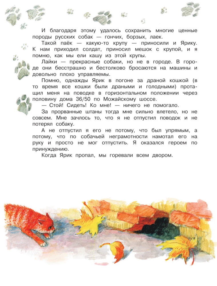 Как правильно любить собак