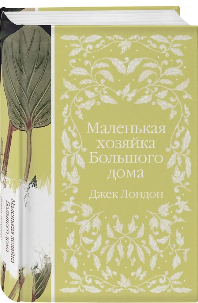 Маленькая хозяйка Большого дома