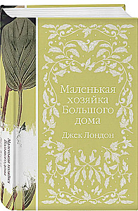Маленькая хозяйка Большого дома