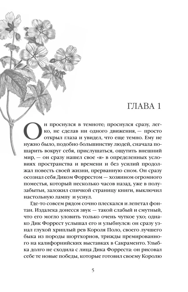 Маленькая хозяйка Большого дома