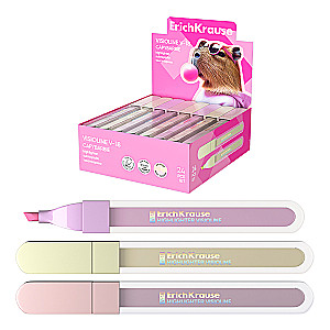 Text marker - Visioline V-18 CapyBarbara, ink color, assorted