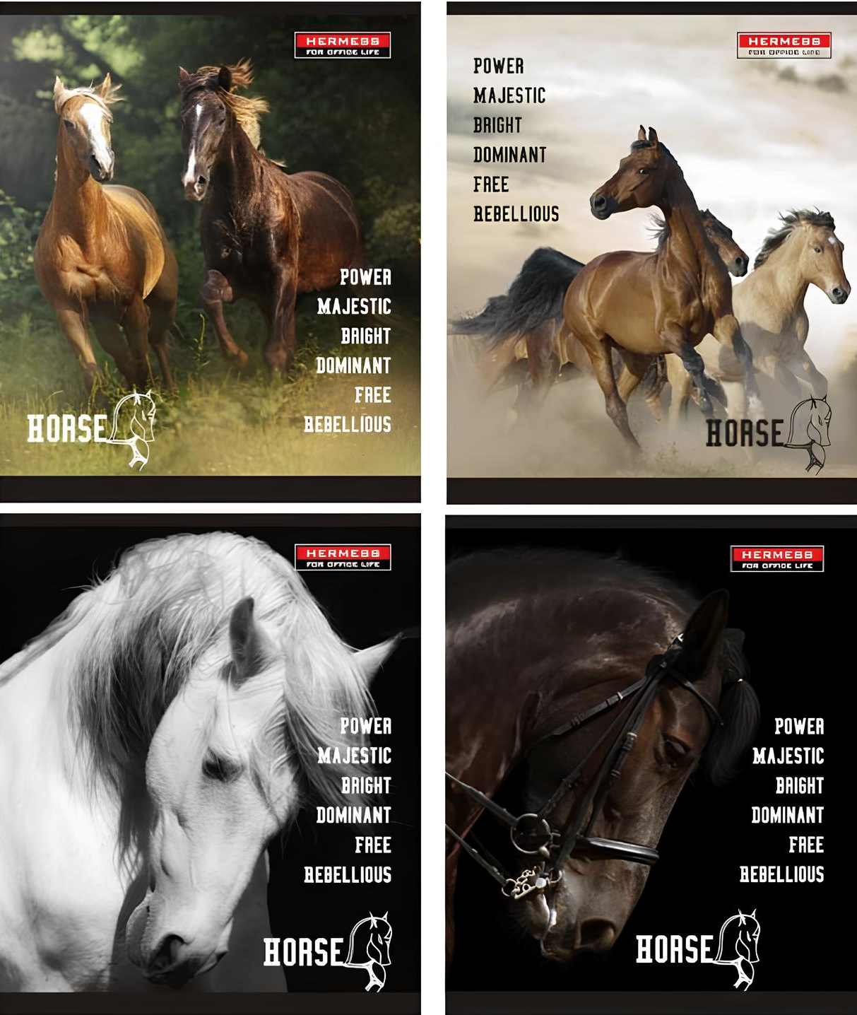 Zeszyt - Konie, A5, 48 kartek, w asortymencie