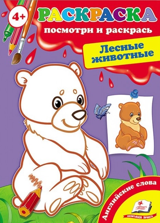 Waldtiere. Schau und male aus + englische Wörter