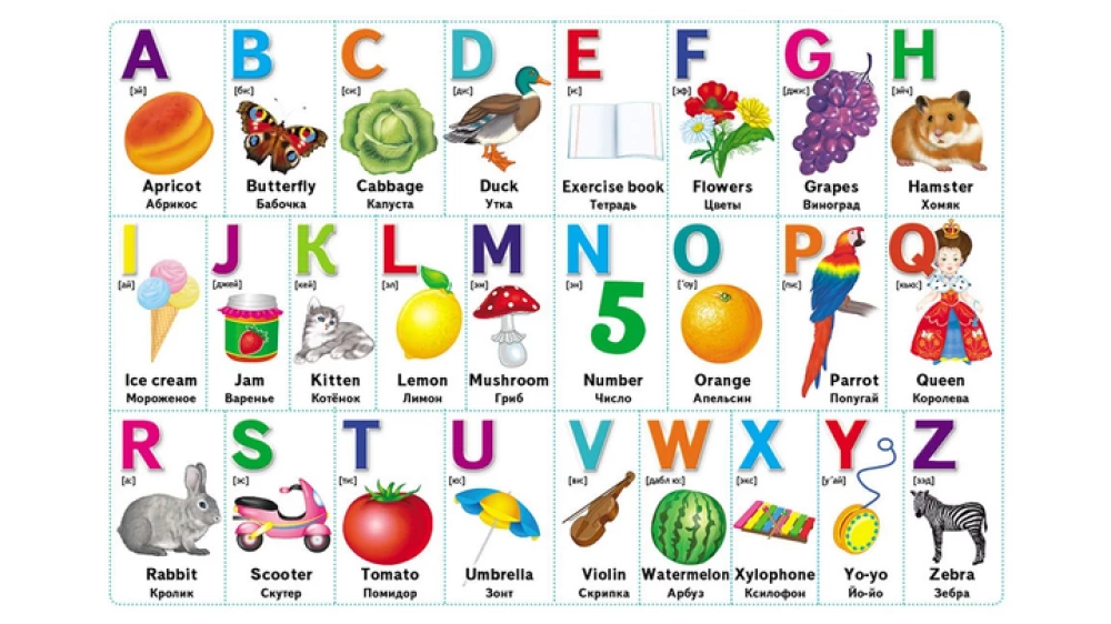 Erste Kenntnisse für Kleinkinder + Englisch