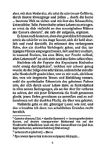 Die Elixiere des Teufels