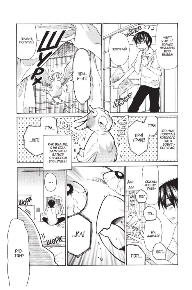 Toradora. Tiger und Drache. Band 1