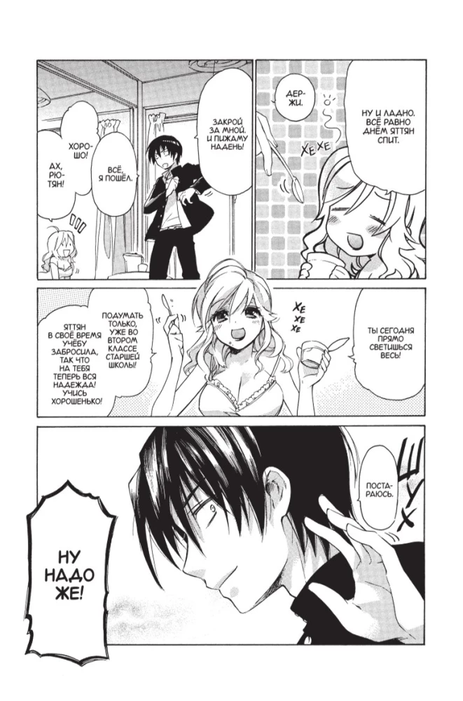 Toradora. Tiger und Drache. Band 1