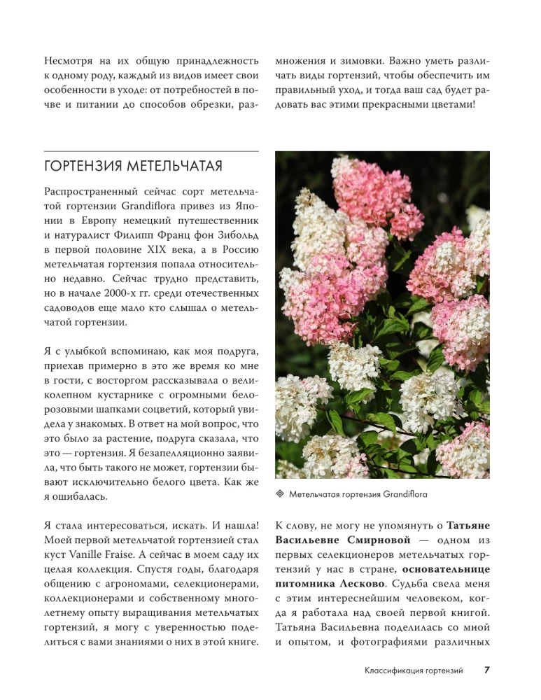 Hortensien. Anpflanzen, pflegen und genießen in jedem Garten