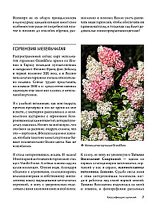 Hortensien. Anpflanzen, pflegen und genießen in jedem Garten