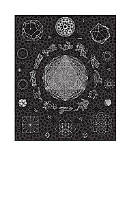 Sacrale Zeichen, Zahlen, Symbole. Quadrivium. Geheimnisse der mittelalterlichen Wissenschaft