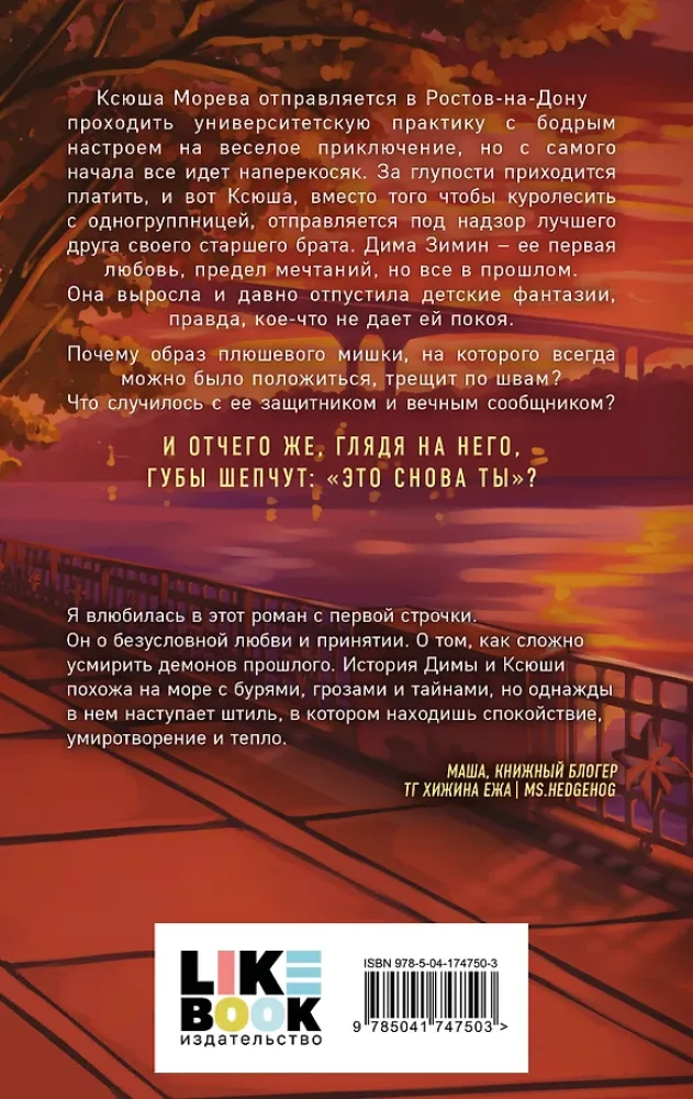 Set aus zwei Büchern: Das bist wieder du + Sie steht auf Bad Boys