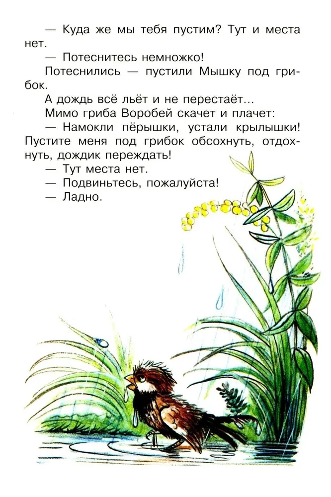 Под грибом