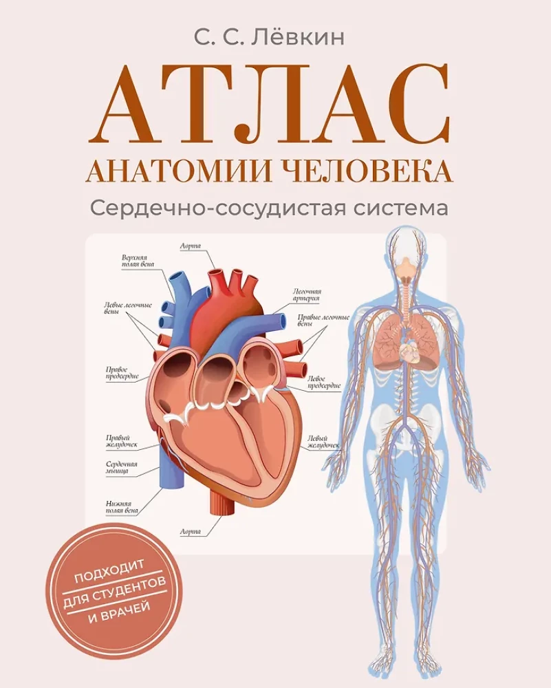 Cilvēka anatomijas atlants. Sirds un asinsvadu sistēma