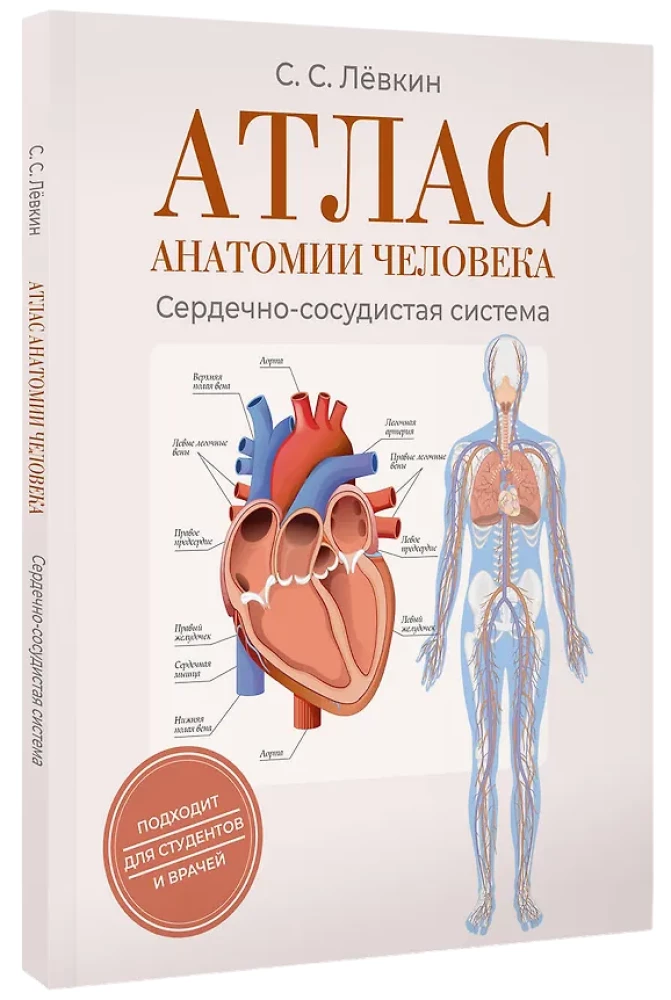 Cilvēka anatomijas atlants. Sirds un asinsvadu sistēma