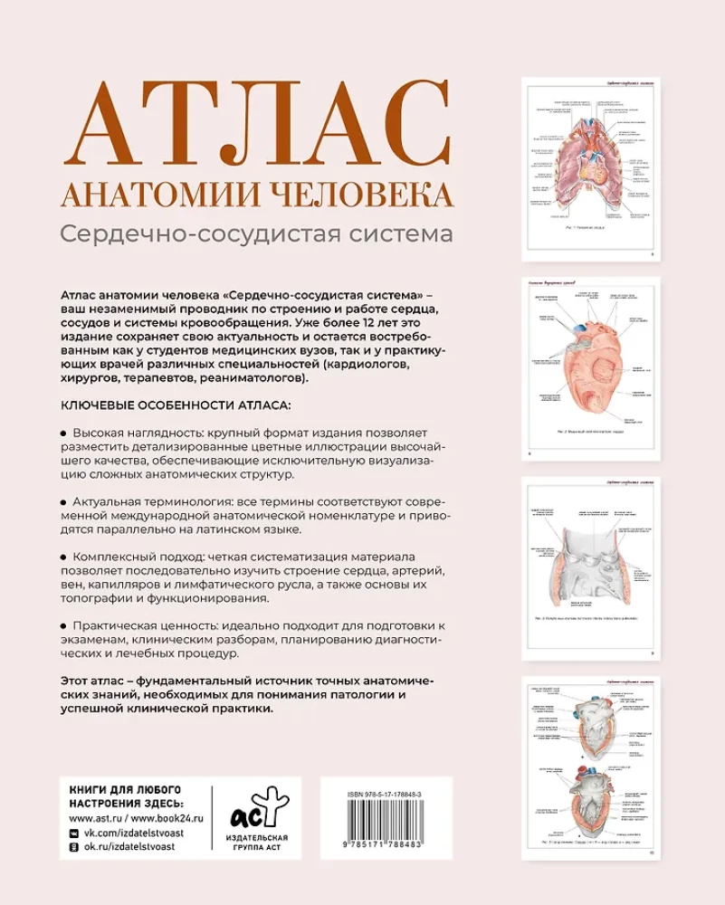 Cilvēka anatomijas atlants. Sirds un asinsvadu sistēma