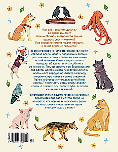 Tiere-Superhelden. Wahre Geschichten für Kinder