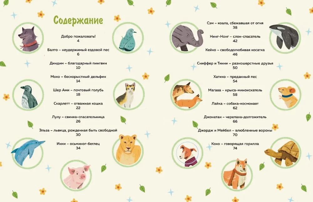 Tiere-Superhelden. Wahre Geschichten für Kinder