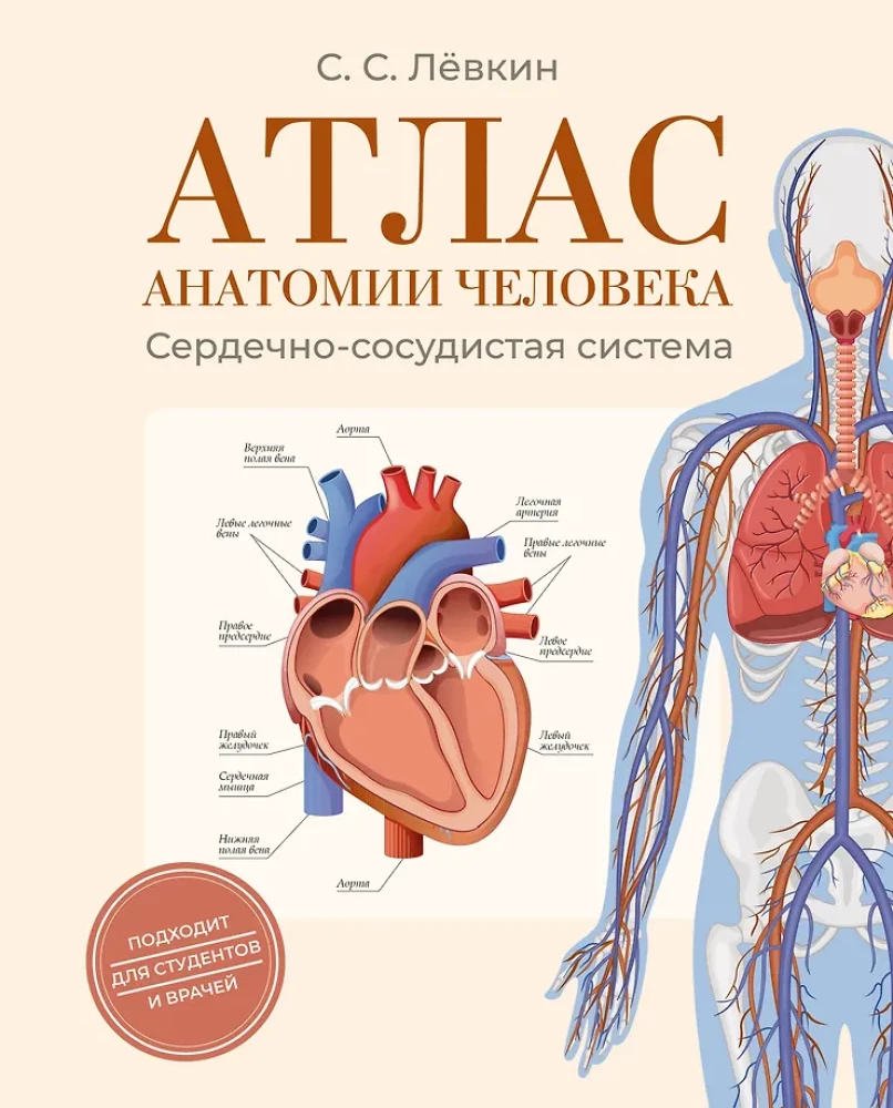 Cilvēka anatomijas atlants. Sirds un asinsvadu sistēma