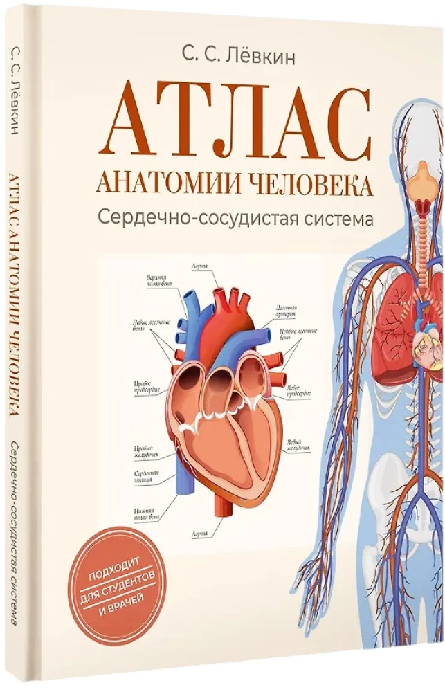 Cilvēka anatomijas atlants. Sirds un asinsvadu sistēma