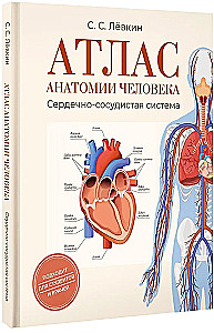 Cilvēka anatomijas atlants. Sirds un asinsvadu sistēma