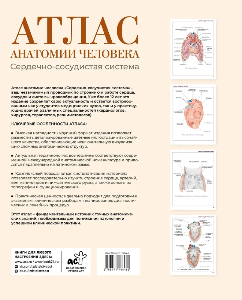 Cilvēka anatomijas atlants. Sirds un asinsvadu sistēma