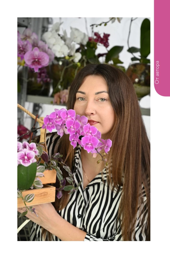 Orchids Without Rules. A Care Tracker Guide for the Most Beautiful and Capricious Flowers