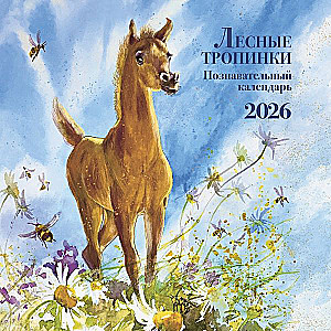 Lehrreicher Kalender. Waldpfade. 2026