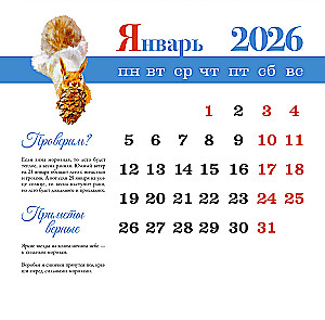 Lehrreicher Kalender. Waldpfade. 2026