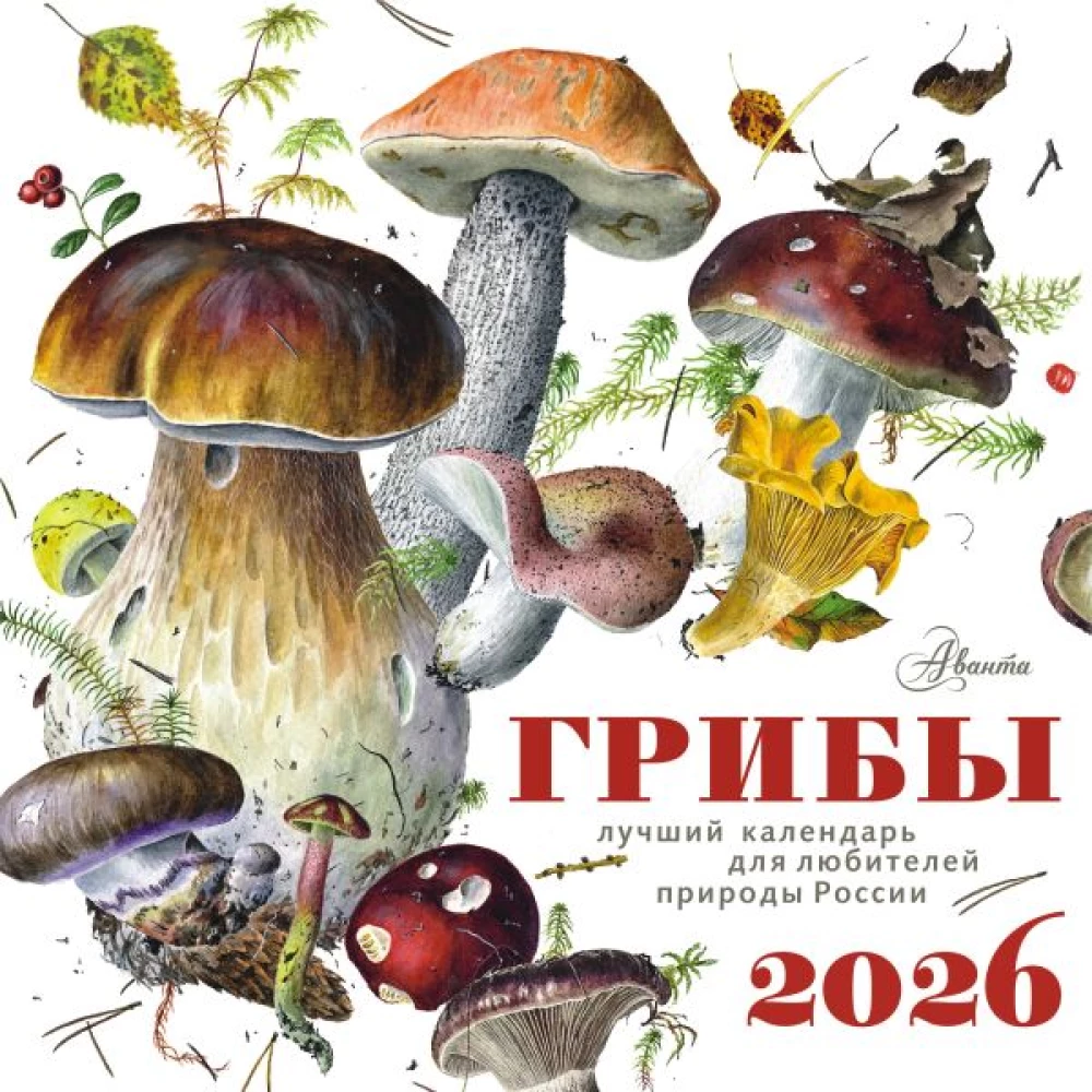 Kalender - Pilze 2026 Jahr