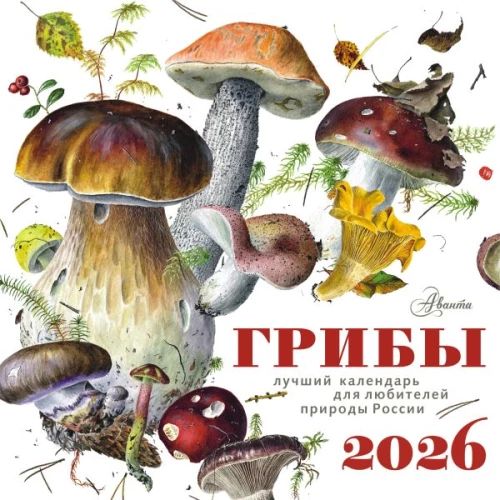 Kalender - Pilze 2026 Jahr