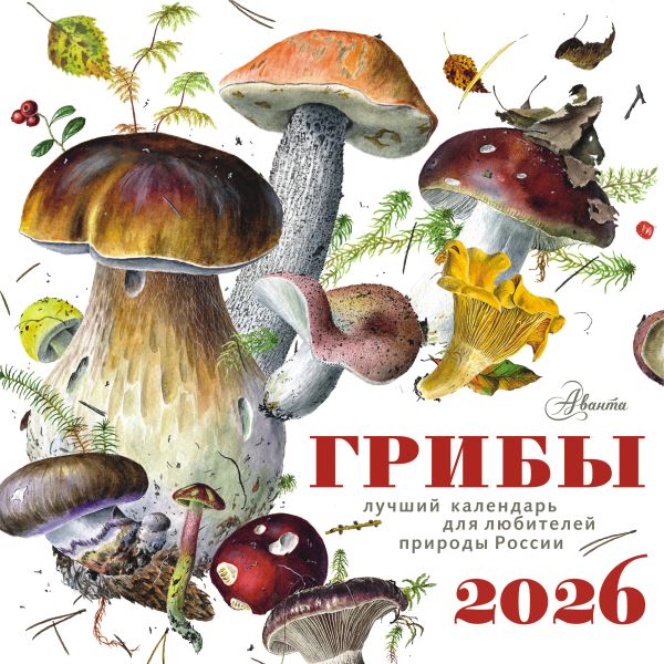 Kalender - Pilze 2026 Jahr