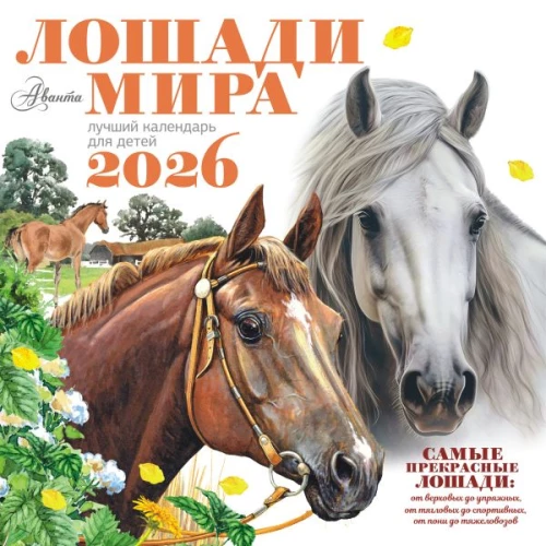 Kalender - Pferde der Welt 2026
