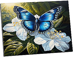 Numbered painting with platinum leaf - Butterfly on white flowers, 40x50