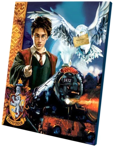 Obrazek według numerów - Harry Potter, 40x50