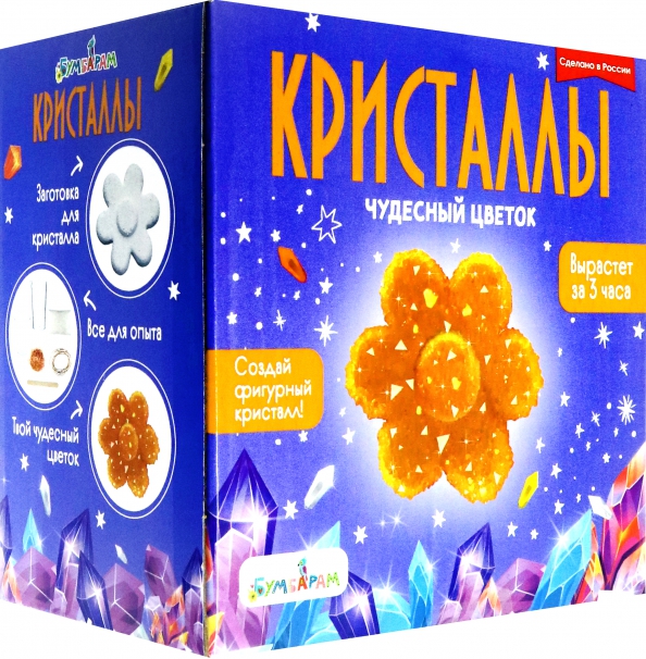 Experimentierset - Orange Blume