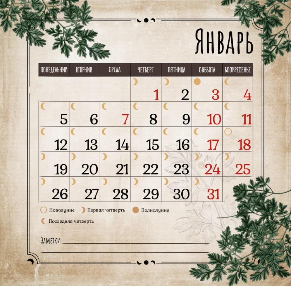 Geheimnisse und Magie der Pflanzen. Wandkalender für das Jahr 2026