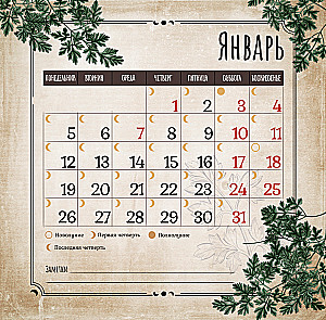 Geheimnisse und Magie der Pflanzen. Wandkalender für das Jahr 2026