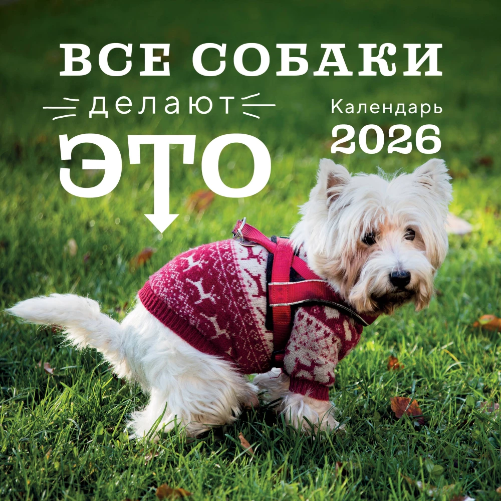 Visi šunys tai daro. 2026 metų sieninis kalendorius