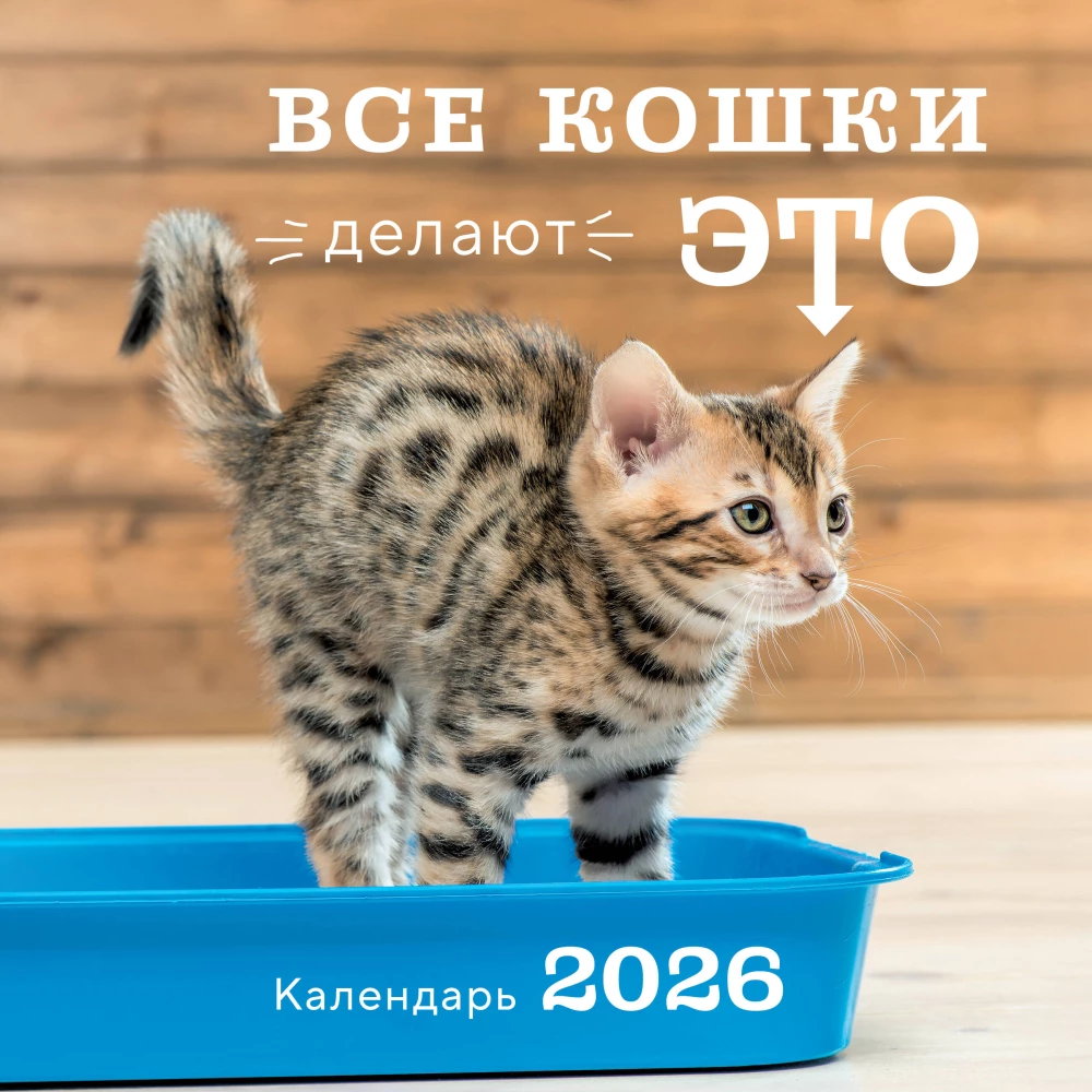 Visi kaķi to dara. Sienas kalendārs 2026. gadam