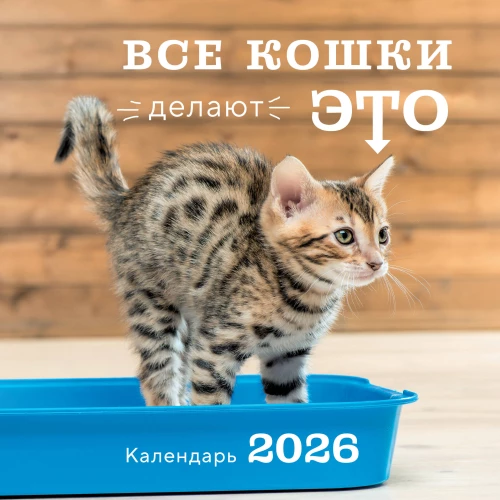 Visi kaķi to dara. Sienas kalendārs 2026. gadam