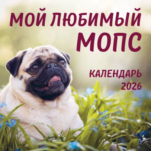 Мой любимый мопс. Календарь настенный на 2026 год