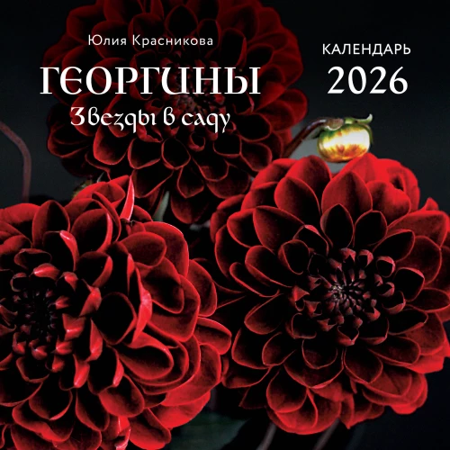 Dālijas. Zvaigznes dārzā. Sienas kalendārs 2026. gadam